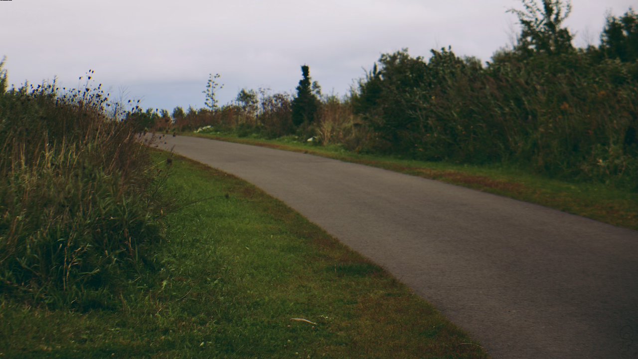 An image of A color-graded photo of a concrete path dividing two grassy patches with local wild plants under an overcast sky. The photo is slightly out of focus.