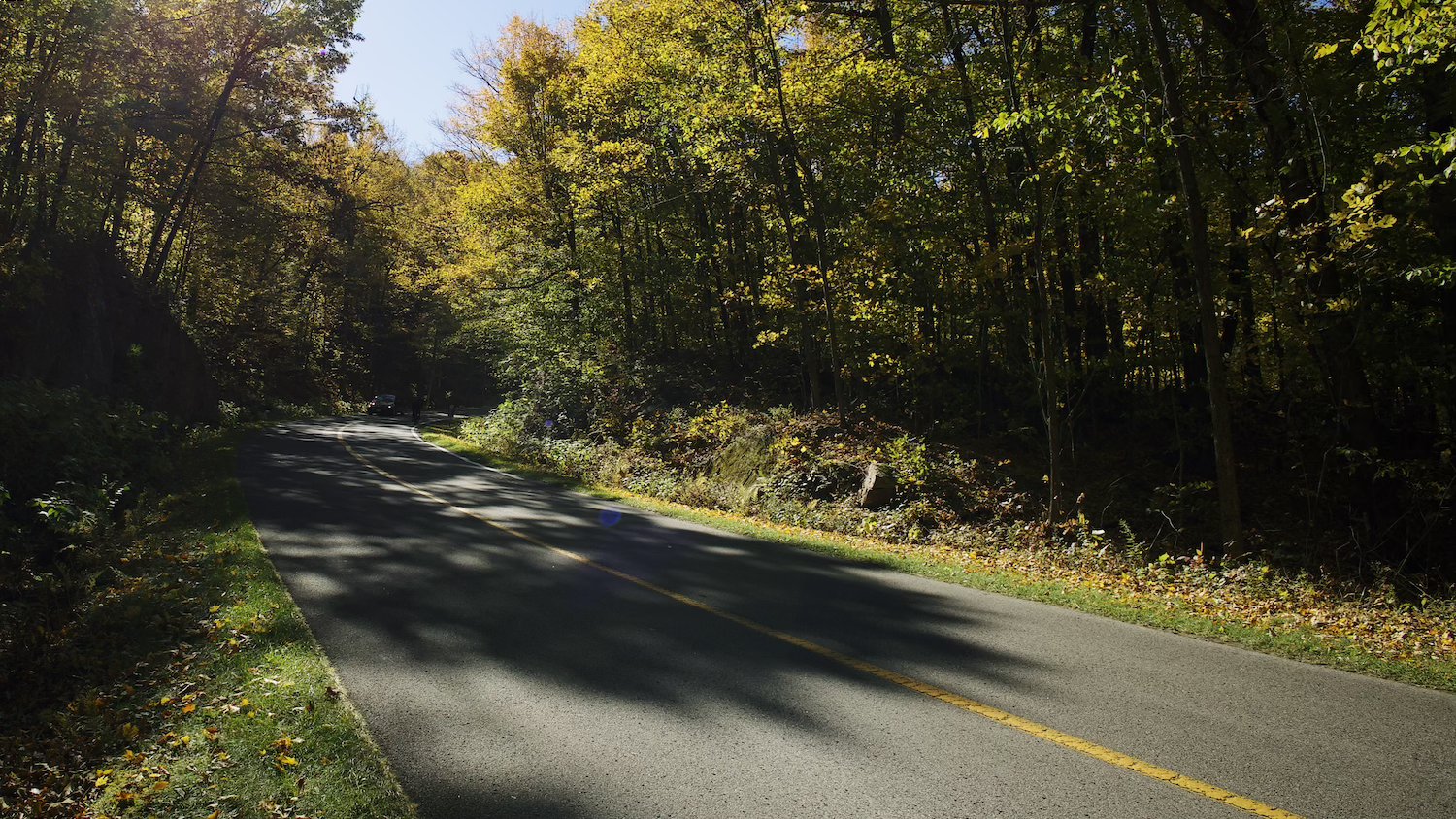 An image of A concrete road bifurcating a nature park, the sun is overhead making the sky a light blue. Shadows from the trees coat the road.