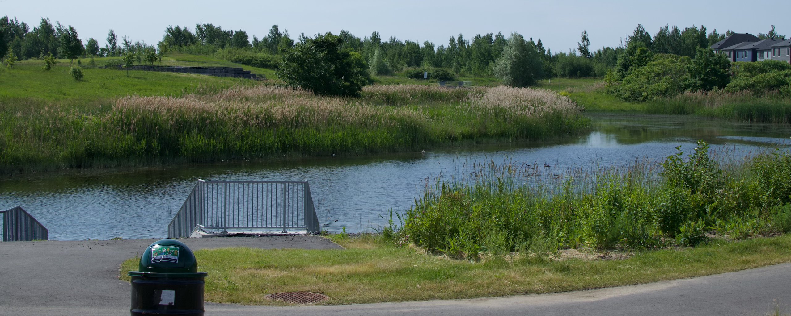 An image of Greenery next to a retaining pond, with a path and a trashcan. The sky is reflecting off of the water.