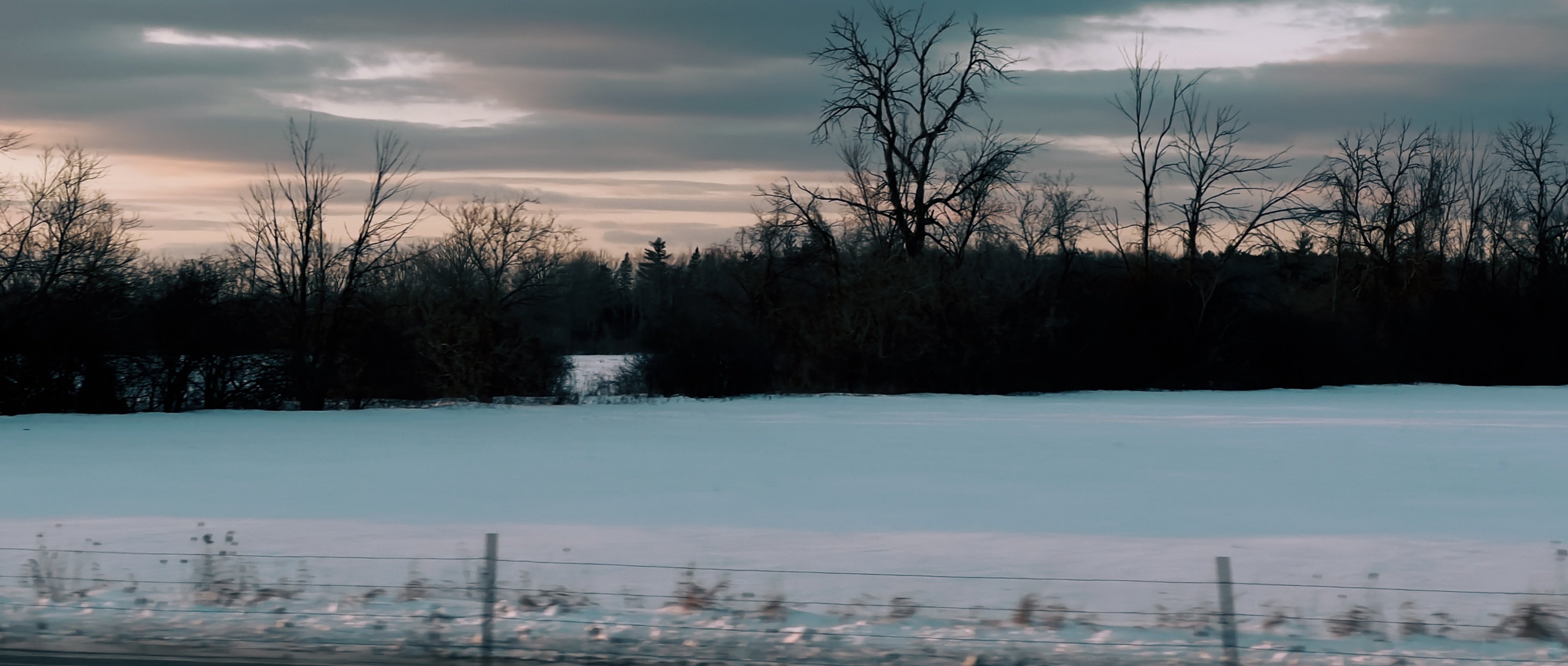 An image of A color-graded image of a snowy field taken from the side of a moving car.