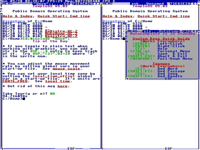 TempleOS boot, HolyC prompt