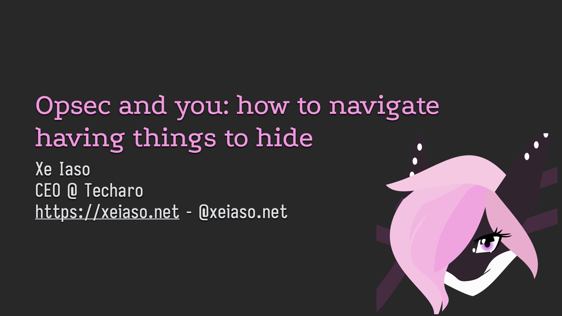 It feels like privacy has become "impossible", hasn't it? What does it mean to actually be "private" these days? Who are you defen